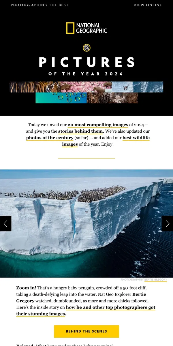 Email from National Geographic. Pictures of the Year: See the 20 photos that captivated us in 2024