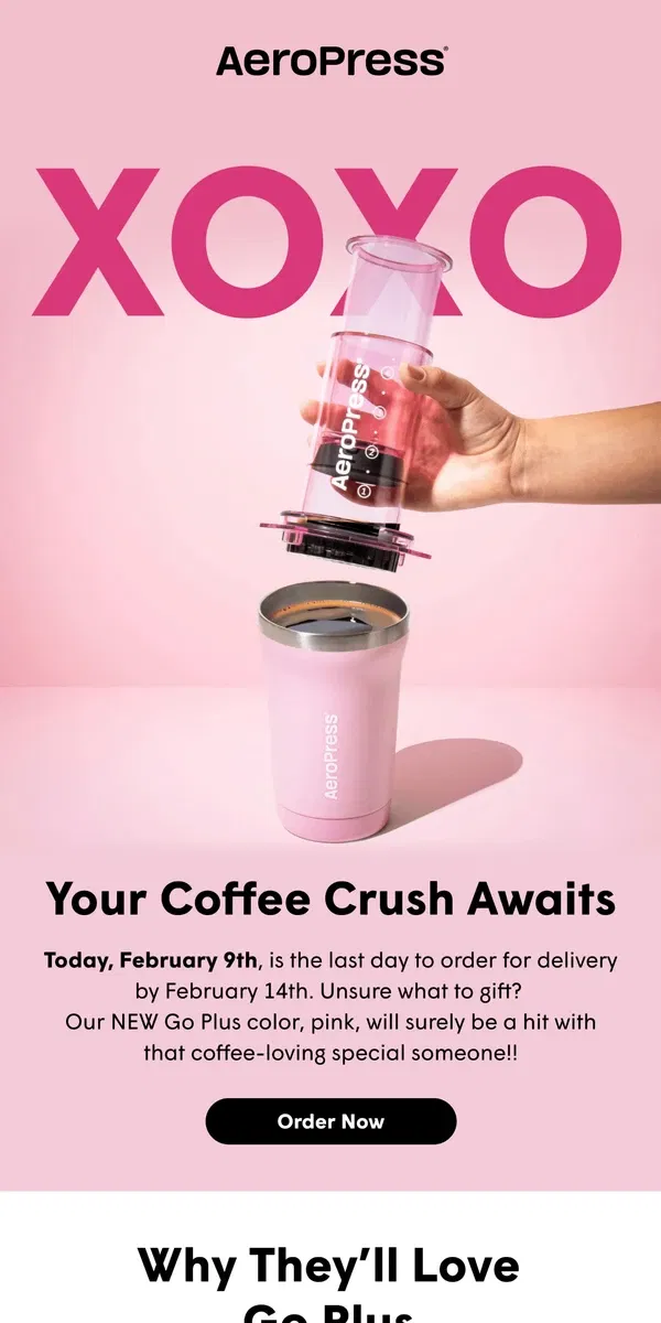 Email from AeroPress. Last Call for On-Time V-Day Delivery! 💘