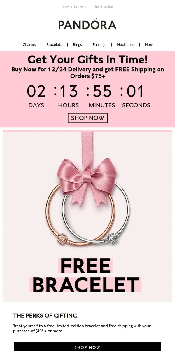 Email from Pandora Jewelry. Time is running out. Order now for holiday delivery with free shipping and a free bracelet