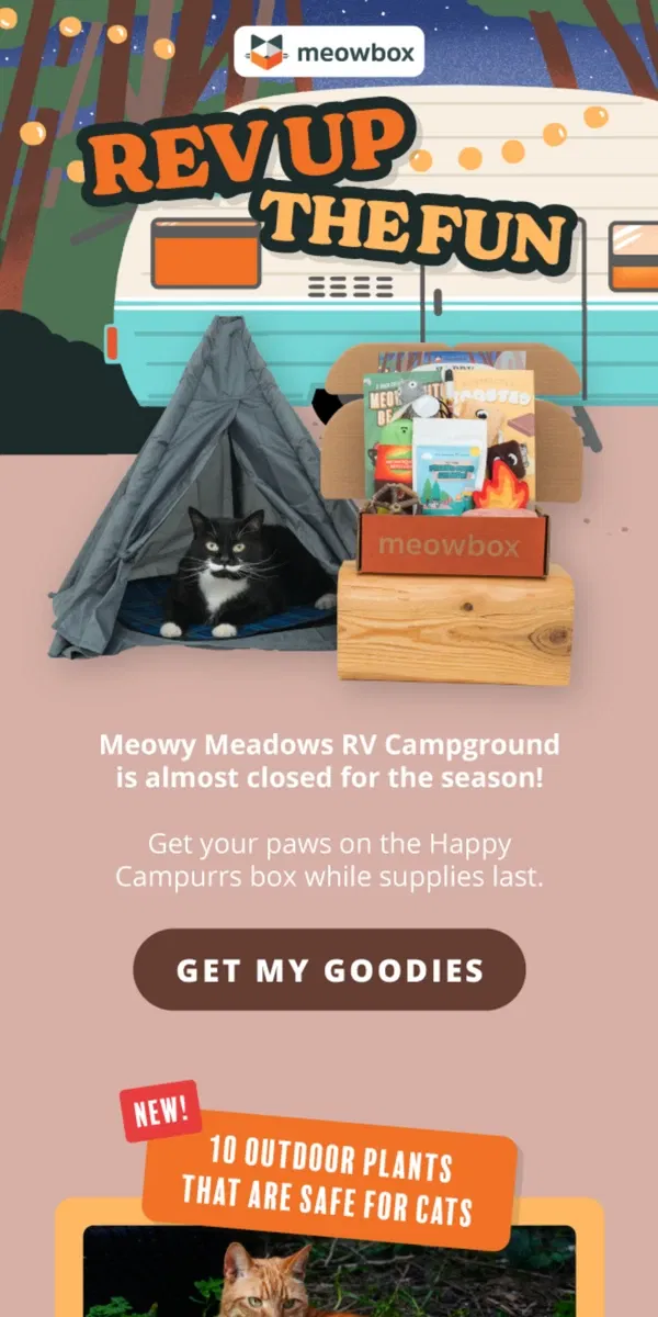 Email from meowbox. Last call to get the Happy Campurrs box 🚐🔥🦟