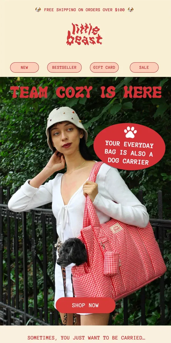 Email from Little Beast. TEAM COZY IS HERE