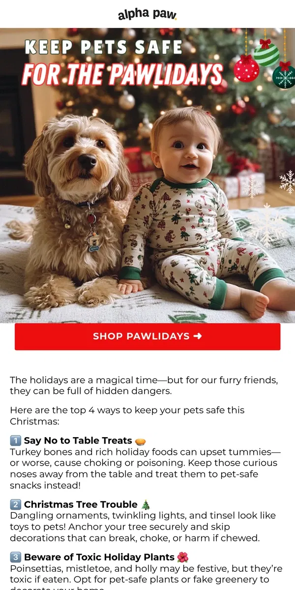 Email from Alpha Paw. 🐶🎄 4 Ways to Keep Your Pet Safe for the Holidays