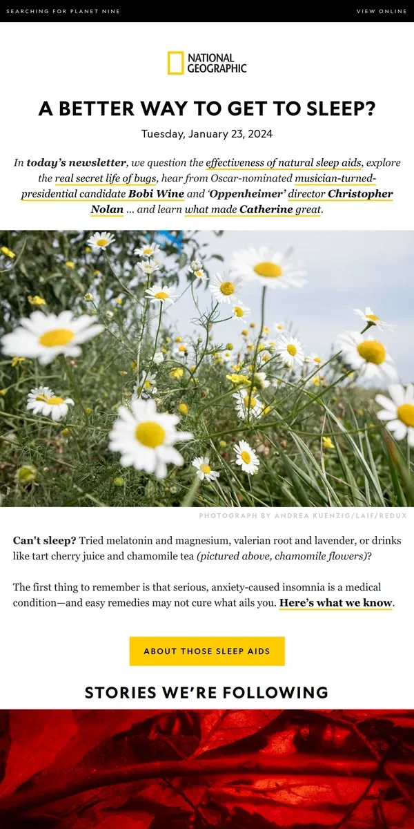 Email from National Geographic. Will these natural remedies get you to sleep at night? Plus, the real secret life of bugs