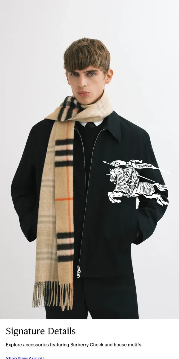 Email from Burberry. Accessories with house motifs