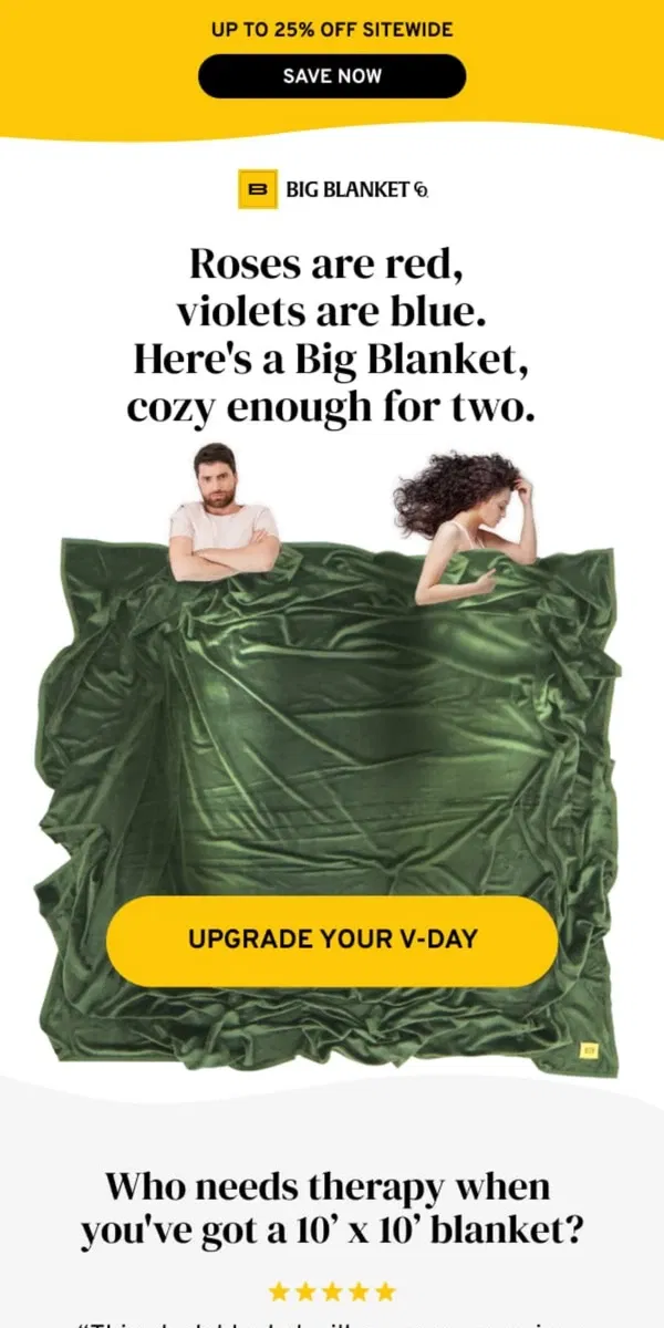 Email from Big Blanket Co. Roses are Red, Violets are Blue...