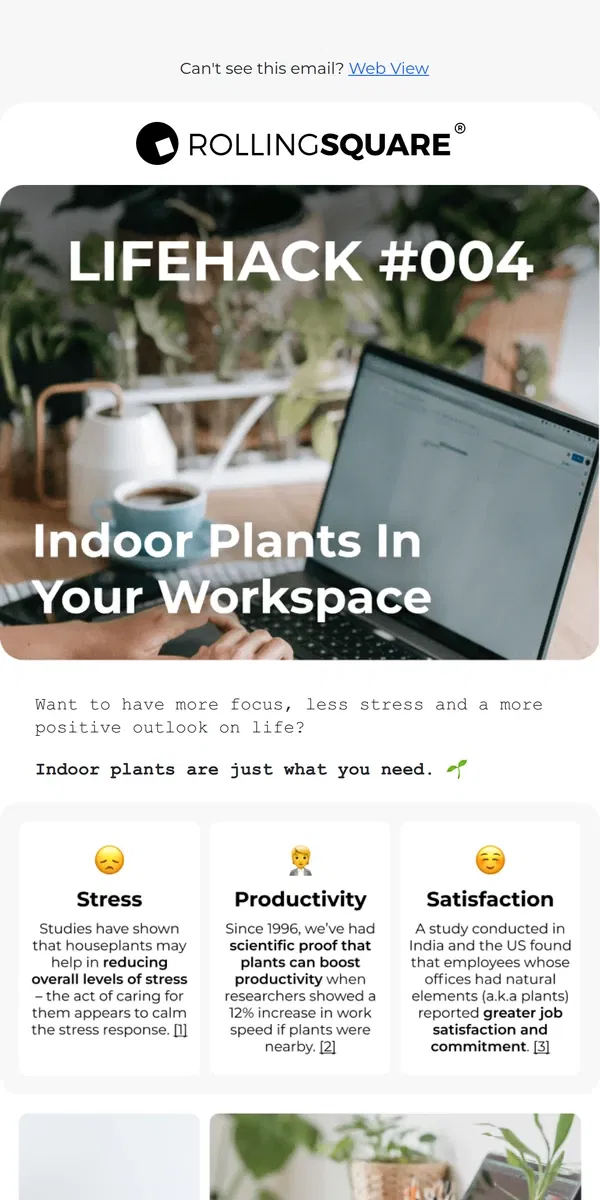 Email from Rolling Square. Could plants improve your well-being and success? 🌱