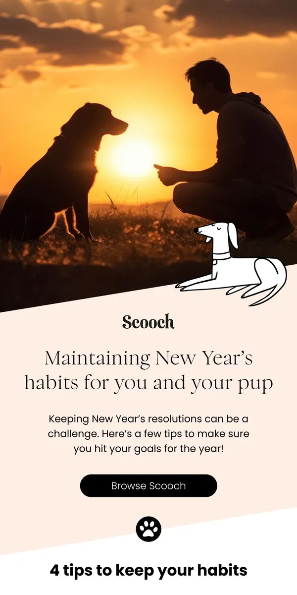 Email from Scooch. Tips to make your New Year Resolutions stick!