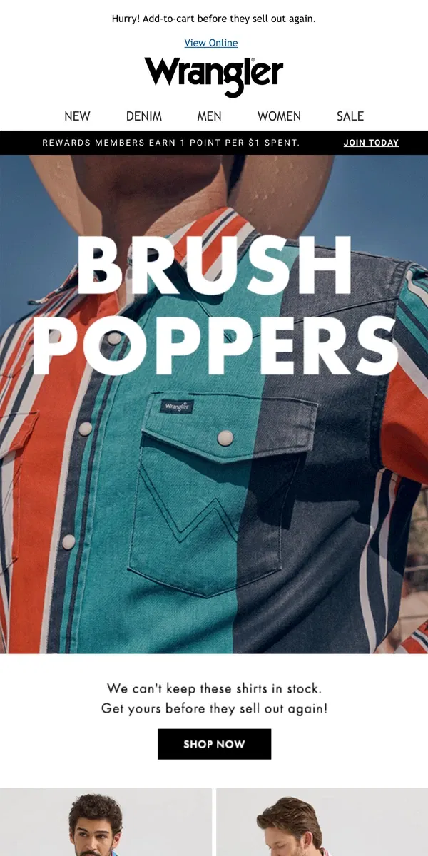 Email from Wrangler. ALERT: Brushpoppers have restocked