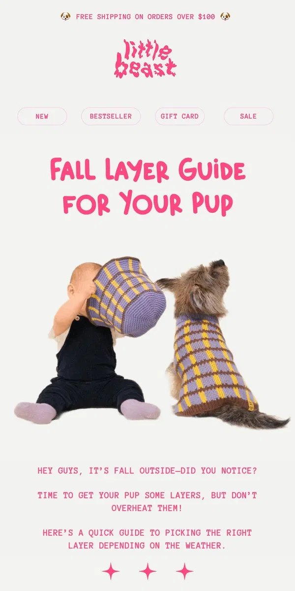 Email from Little Beast. Fall Layer Guide for Your Pup