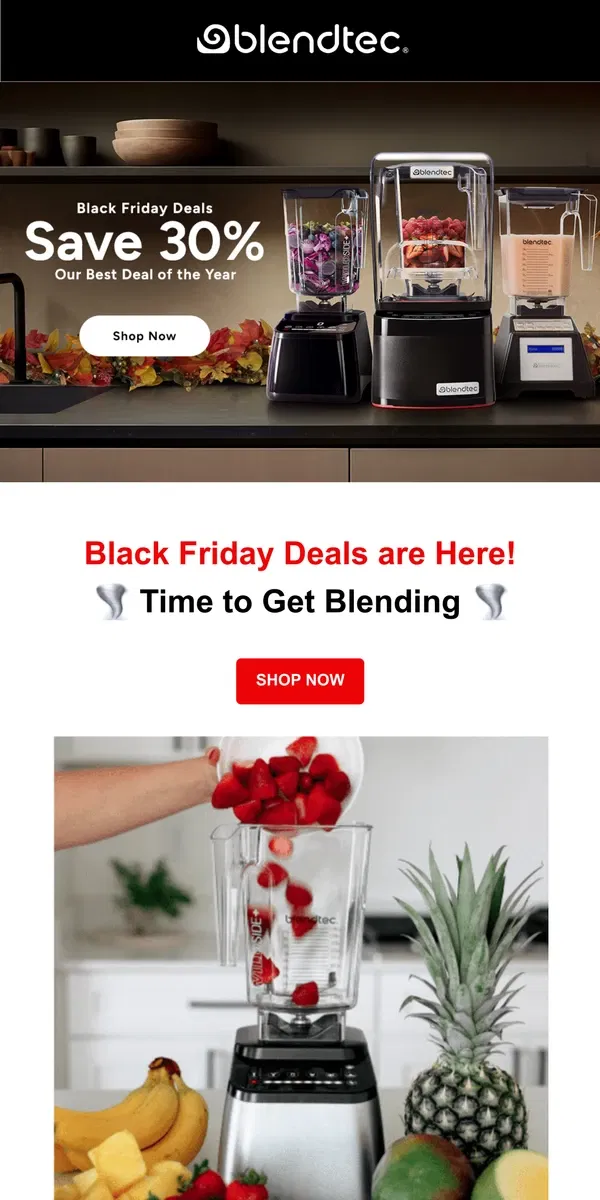 Email from Blendtec. 30% Off Sitewide!