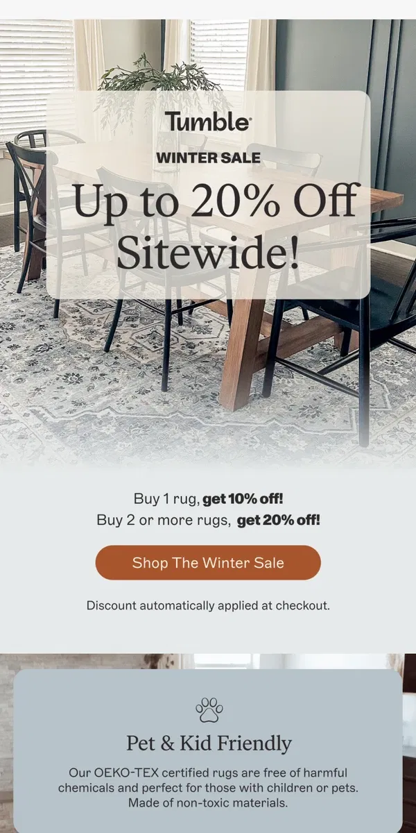 Email from Tumble. 20% OFF any 2+ rugs!