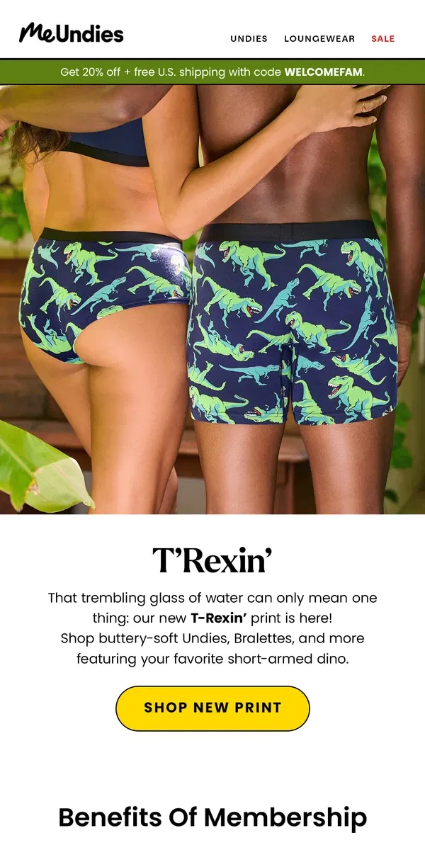 Email from MeUndies. 🦖 ROAR! NEW T-Rexin’ Print Is Here! 🦖