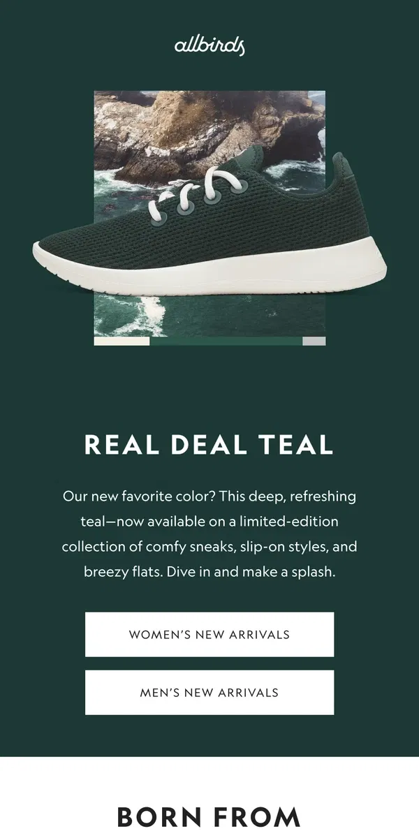 Email from Allbirds. Kinda Green, Kinda Blue, Totally New.