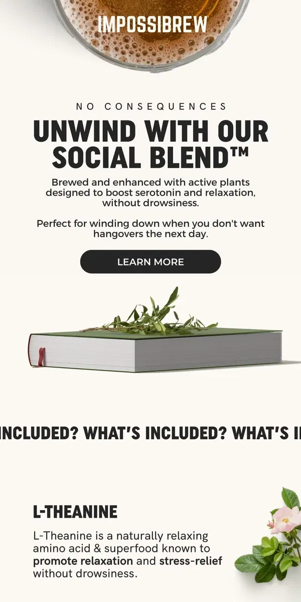 Email from IMPOSSIBREW. Unwind with our Social Blend™