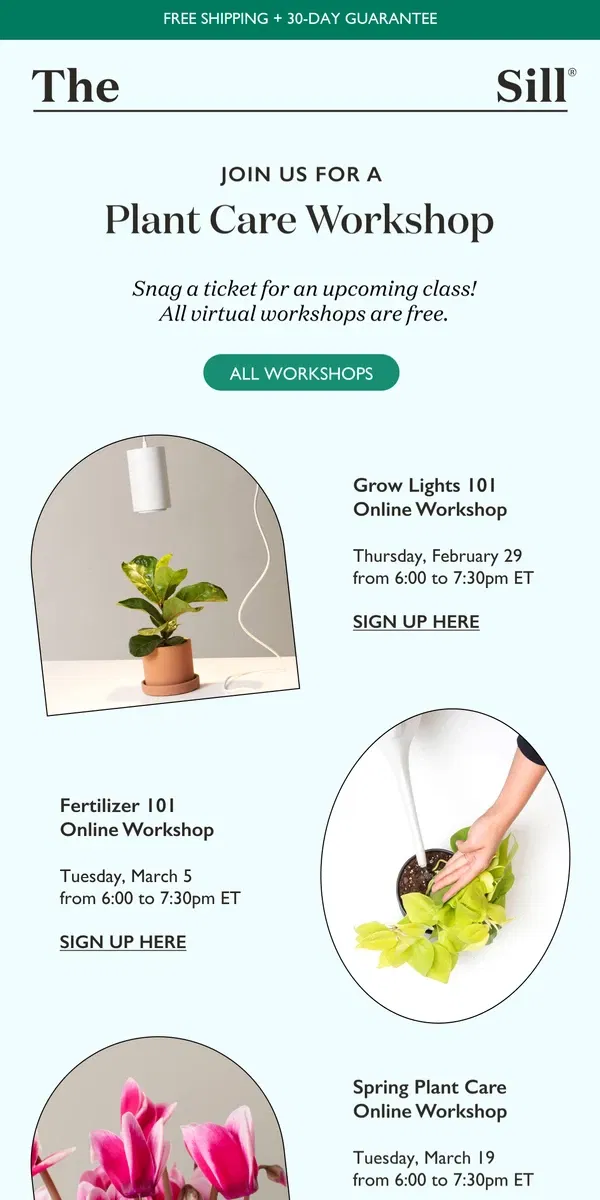 Email from The Sill. Take a FREE Plant Care Class!