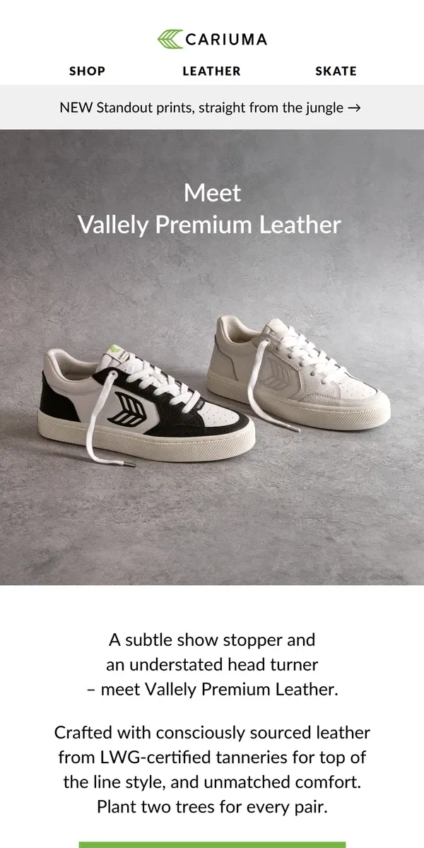 Email from Cariuma. Year-Round White Leather