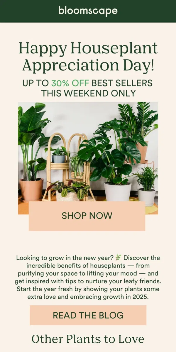 Email from Bloomscape. Happy Houseplant Appreciation Day🪴