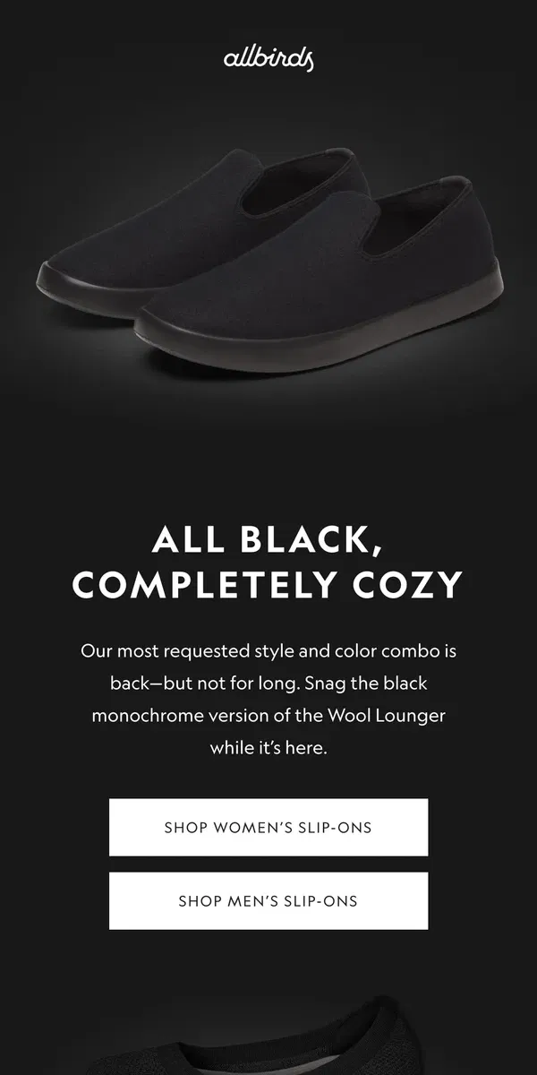 Email from Allbirds. All. Black. Slip-Ons. 🖤