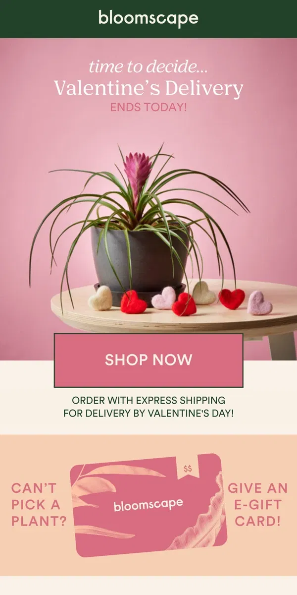 Email from Bloomscape. ❗Valentine's Delivery Ends TODAY❗