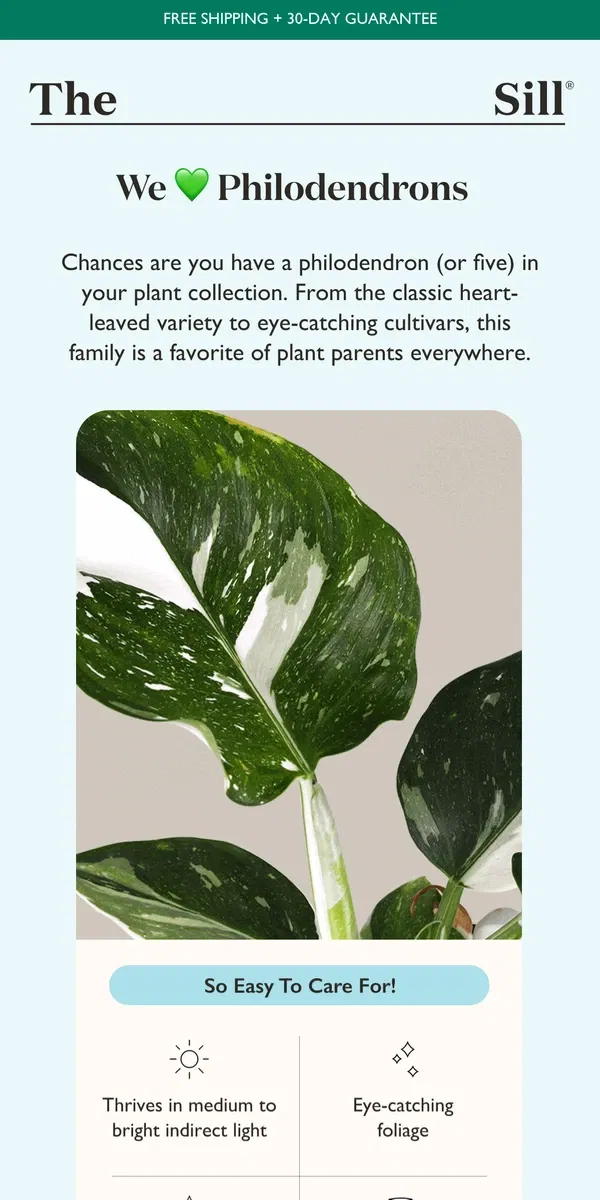 Email from The Sill. One Houseplant to Rule Them All