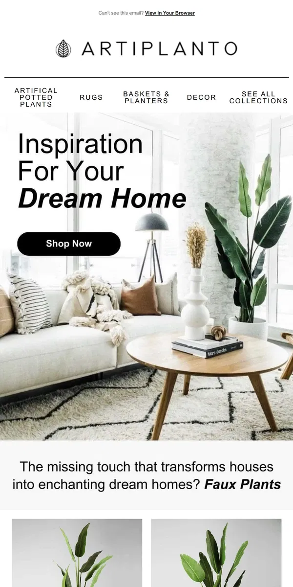 Email from Artiplanto. Add Some Greenery With These Must Have Plants 🌵