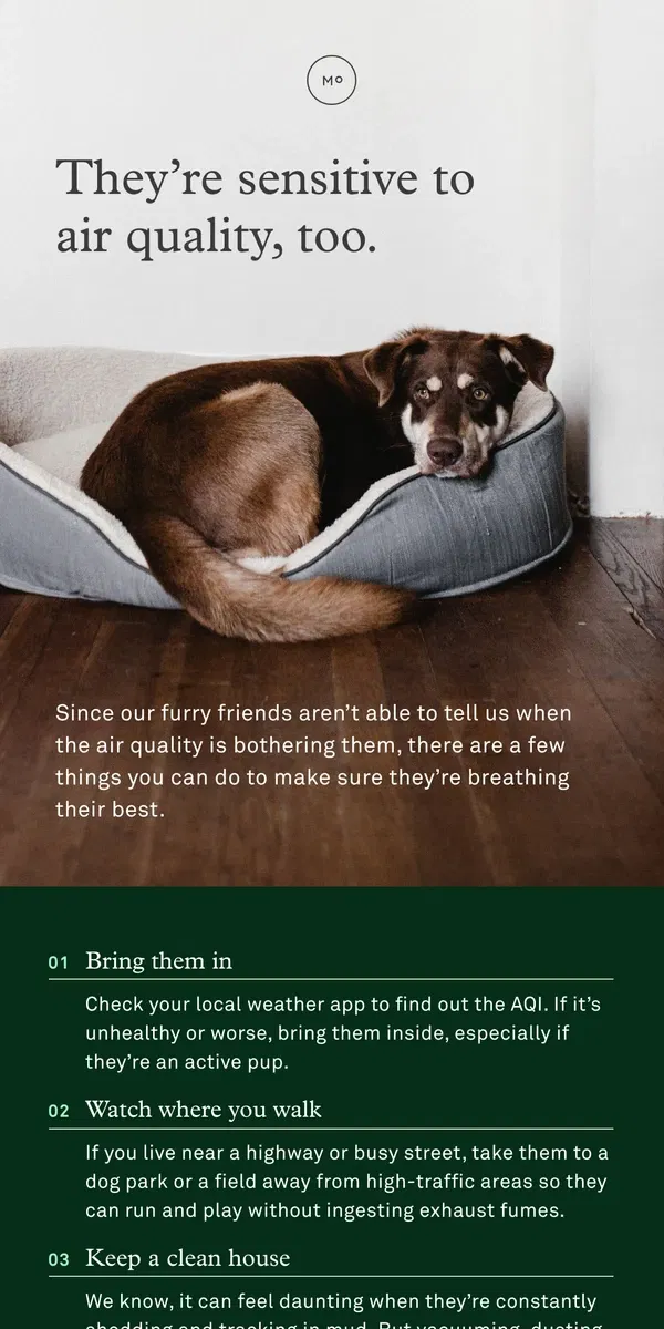 Email from Molekule. Why your pet needs a purifier