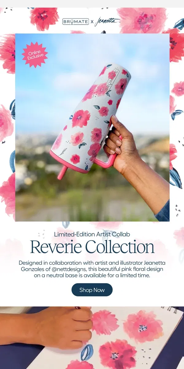 Email from BruMate. New! Reverie Collection 🌺