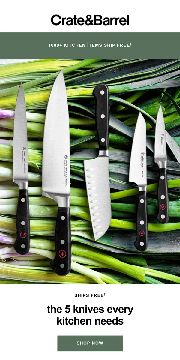 Email from Crate & Barrel. The 5 knives your kitchen needs