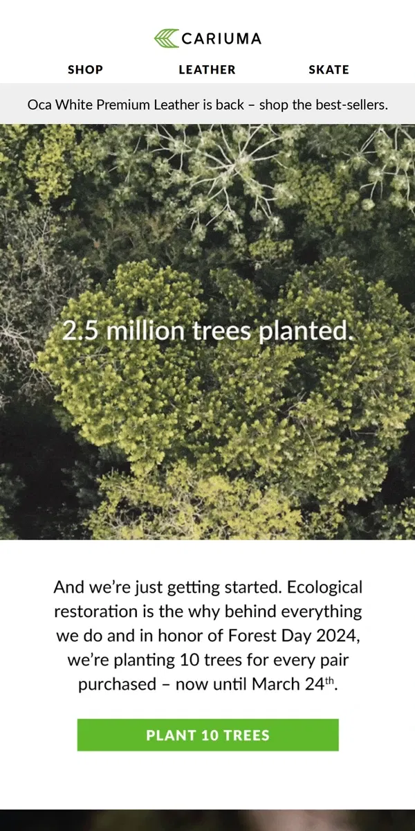 Email from Cariuma. 2.5 Million Trees Planted