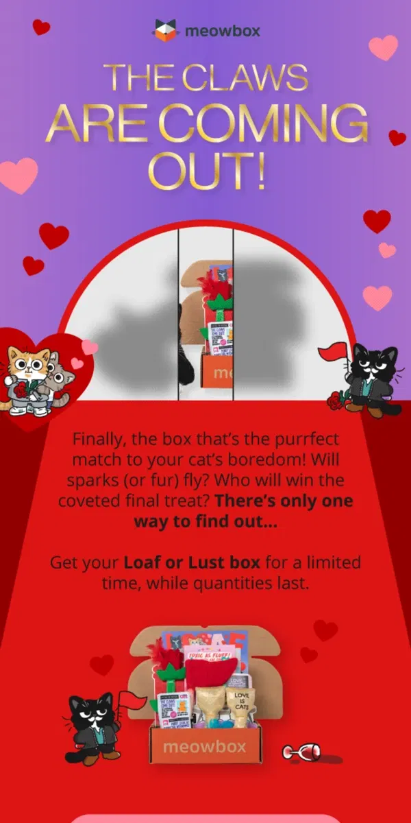 Email from meowbox. The new season of Loaf or Lust is out meow 🌹