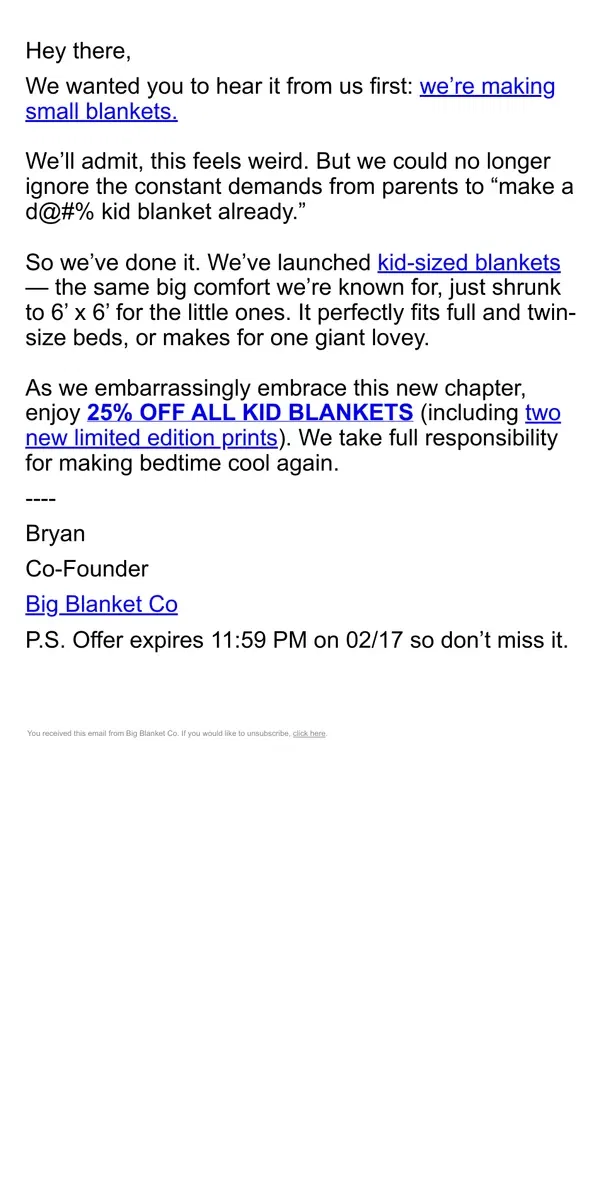 Email from Big Blanket Co. Bug Hugs + Cozy Cuddles