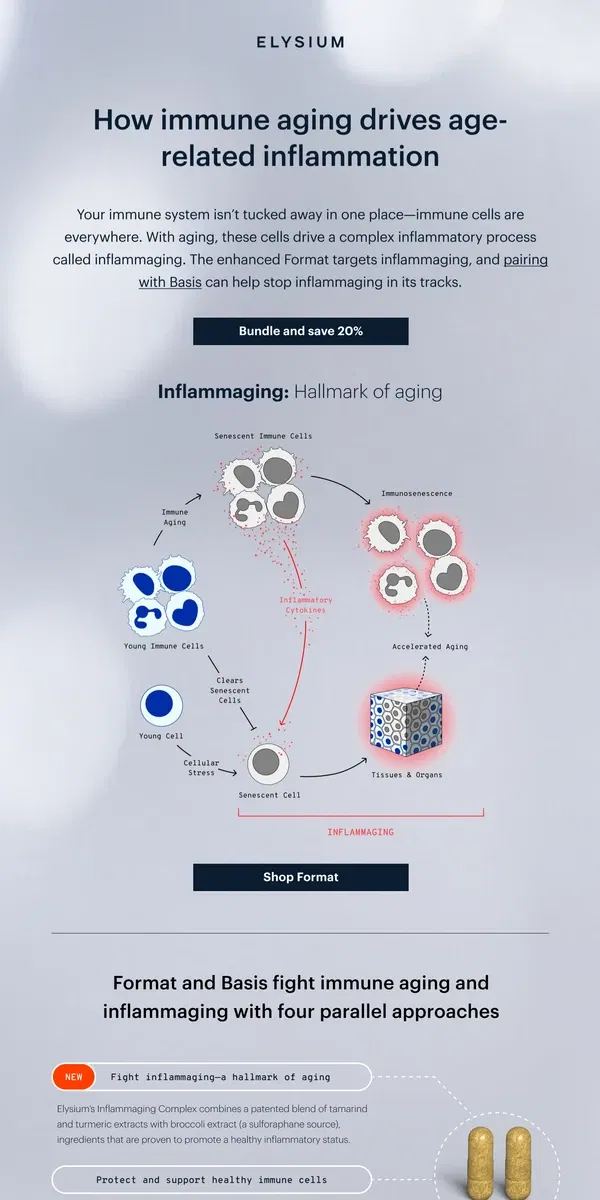 Email from Elysium Health. How Format targets inflammaging at the source