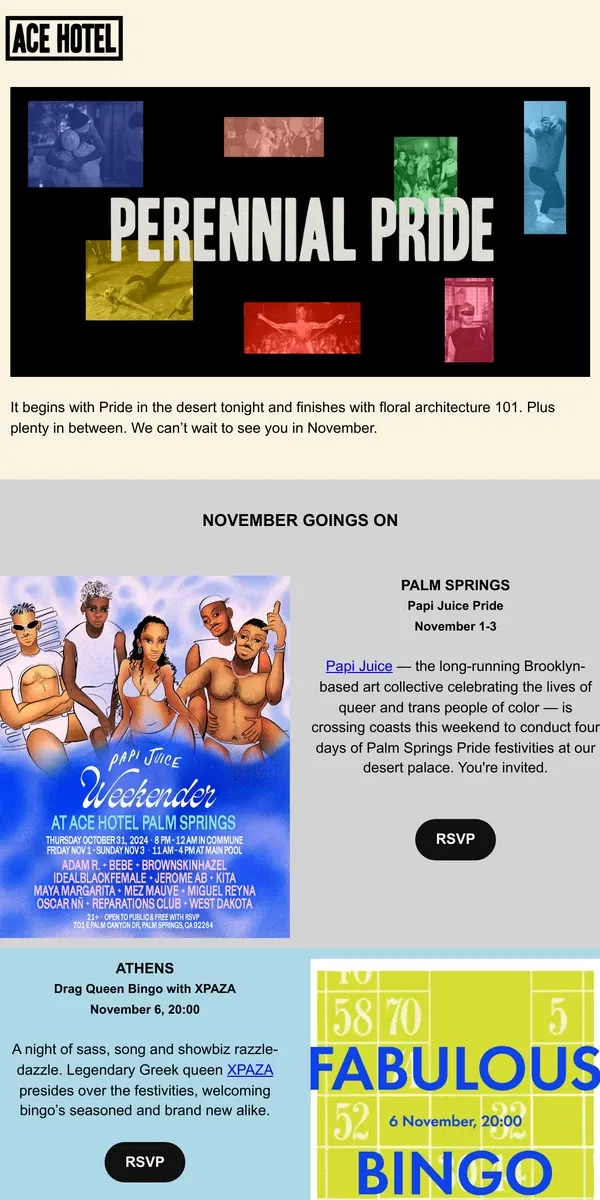 Email from Ace Hotel. November Goings On