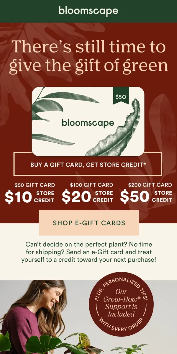 Email from Bloomscape. There's still time to give the gift of green!