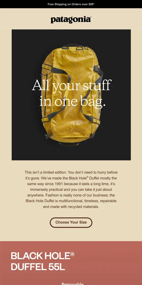 Email from Patagonia. The Black Hole Duffel