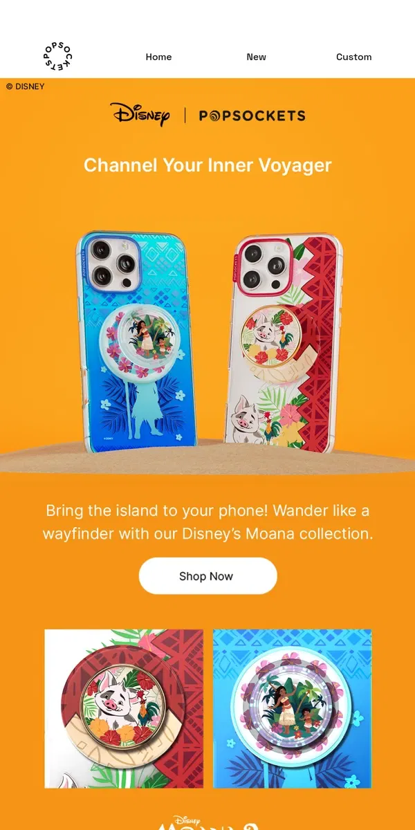 Email from PopSockets. Dive into our Disney’s Moana collection!