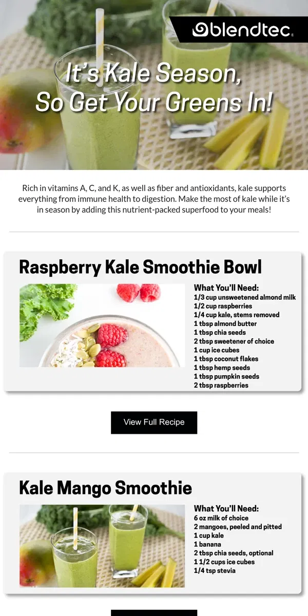 Email from Blendtec. It's Kale Season, So Get Your Leafy Greens In!