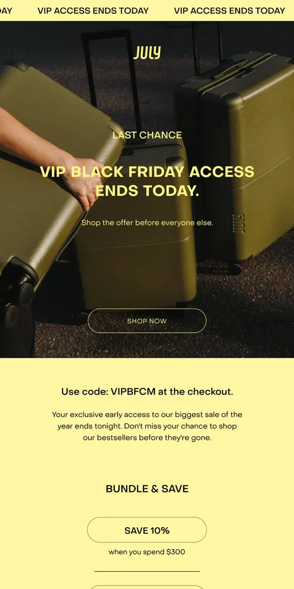 Email from July. Final hours: VIP Black Friday access ends today.