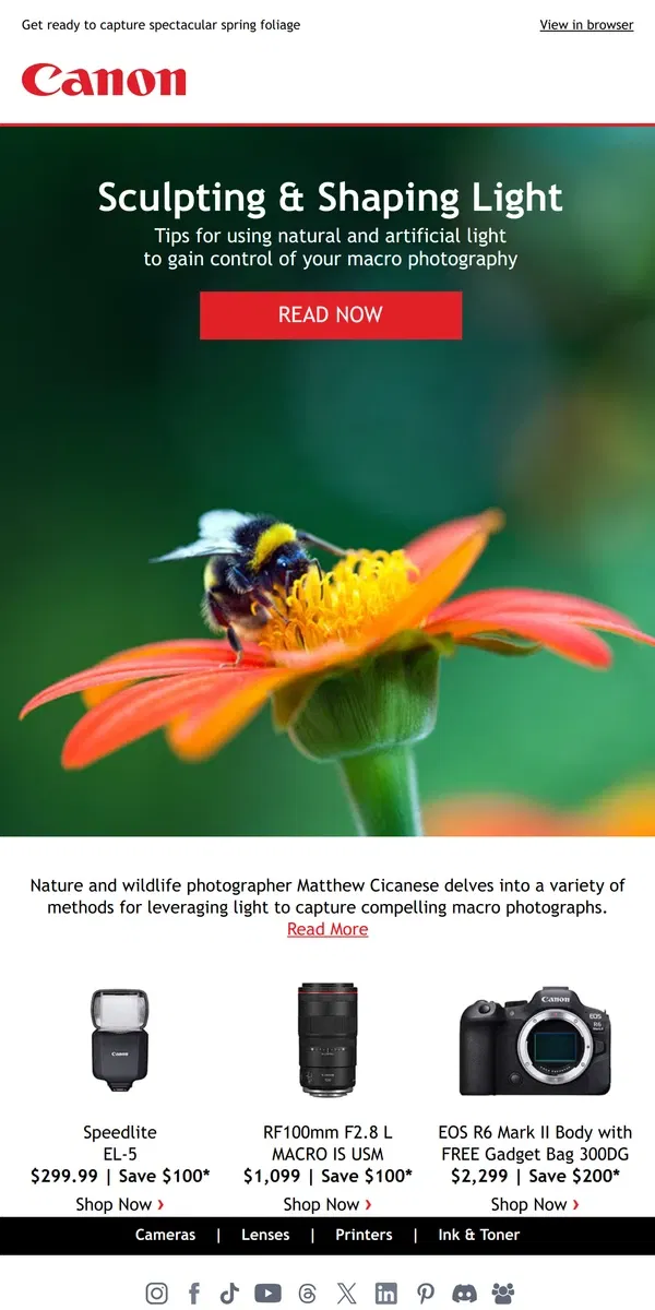 Email from Canon. Macro Photography is in Full Bloom 🌷🌷🌷