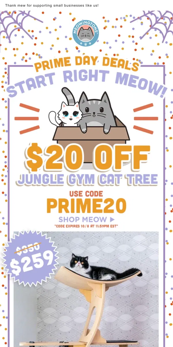 Email from Meowingtons. 🎉 Prime Day DEALS: Day 1 🎉