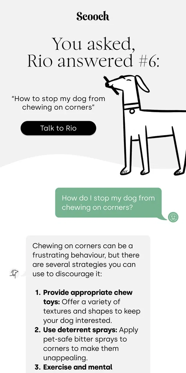 Email from Scooch. Corner chewer? Rio's got answers 🐶