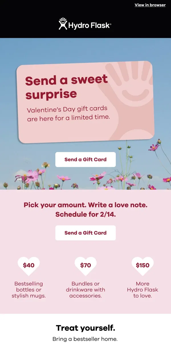 Email from Hydro Flask. Last-Minute Love? We’ve Got You 💌