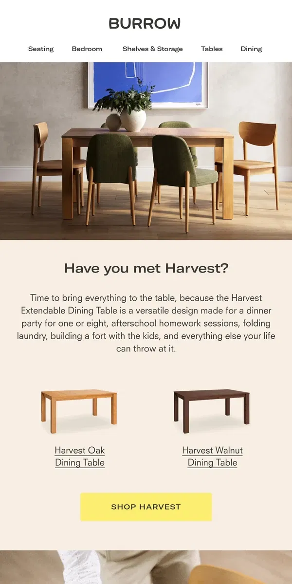 Email from Burrow. Looking for the best extendable dining table?