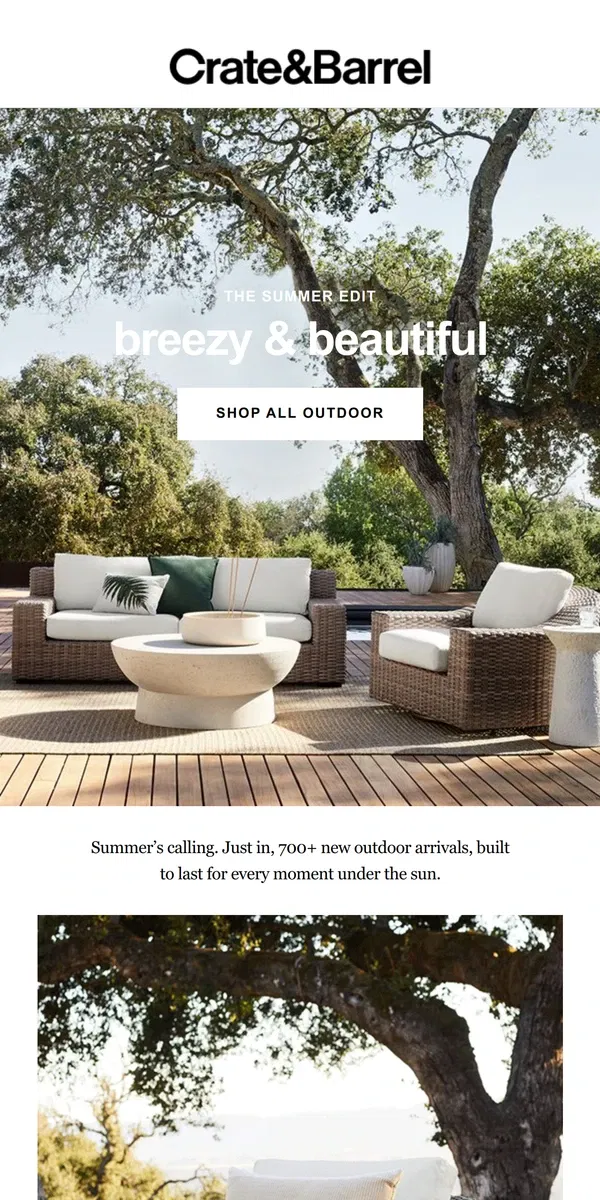 Email from Crate & Barrel. Introducing: THE SUMMER EDIT 🌞