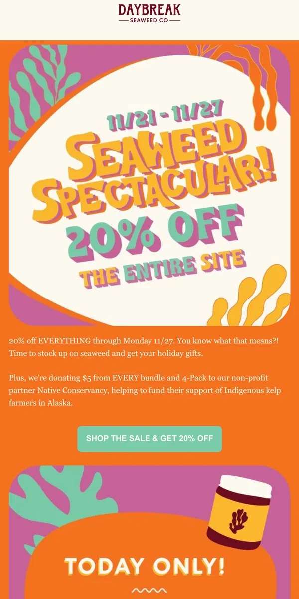 Email from Daybreak Seaweed. 20% OFF EVERYTHING 🏄‍♀️