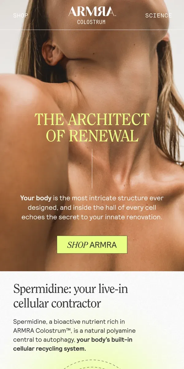 Email from ARMRA Colostrum. ARMRA BIOACTIVE 101: Spermidine