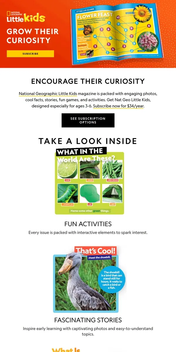 Email from National Geographic. Give them a strong start to the new year with Nat Geo Little Kids Magazine! Just $34/year (6 issues).