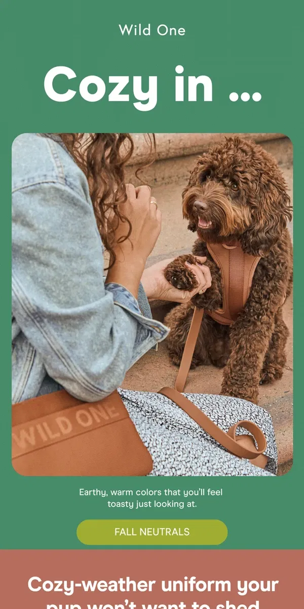 Email from Wild One. Your Pup’s Cozy Lookbook