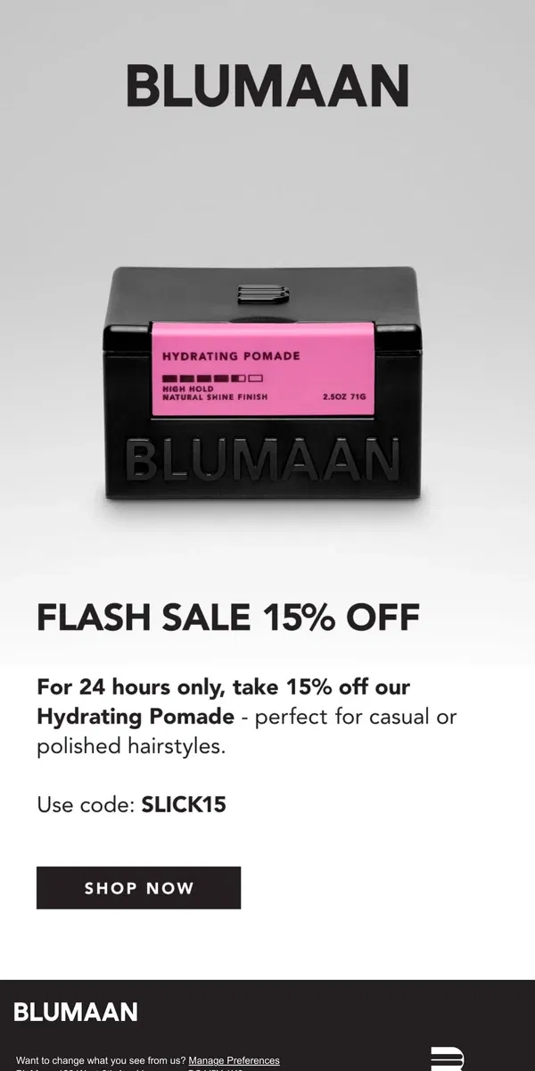 Email from BluMaan. FLASH SALE 24 HOURS ONLY ⏰