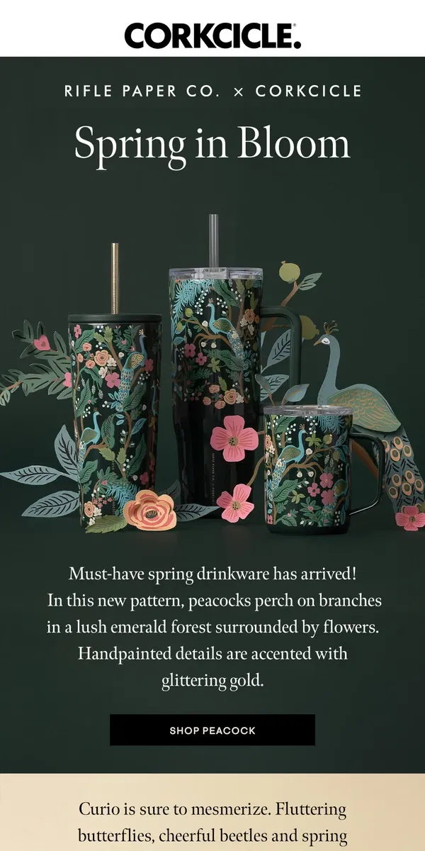 Email from CORKCICLE. 🐞🦋 NEW Rifle Paper Co. Drinkware!